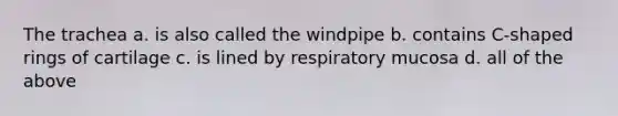 The trachea a. is also called the windpipe b. contains C-shaped rings of cartilage c. is lined by respiratory mucosa d. all of the above