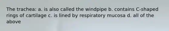 The trachea: a. is also called the windpipe b. contains C-shaped rings of cartilage c. is lined by respiratory mucosa d. all of the above