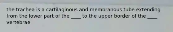 the trachea is a cartilaginous and membranous tube extending from the lower part of the ____ to the upper border of the ____ vertebrae
