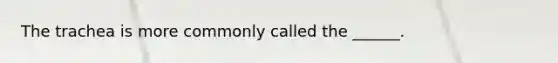 The trachea is more commonly called the ______.