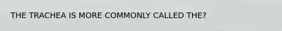 THE TRACHEA IS MORE COMMONLY CALLED THE?
