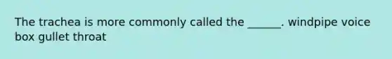 The trachea is more commonly called the ______. windpipe voice box gullet throat