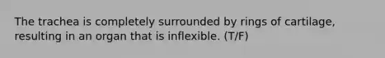 The trachea is completely surrounded by rings of cartilage, resulting in an organ that is inflexible. (T/F)