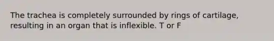 The trachea is completely surrounded by rings of cartilage, resulting in an organ that is inflexible. T or F