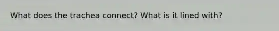 What does the trachea connect? What is it lined with?