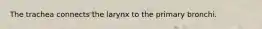 The trachea connects the larynx to the primary bronchi.