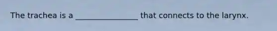 The trachea is a ________________ that connects to the larynx.