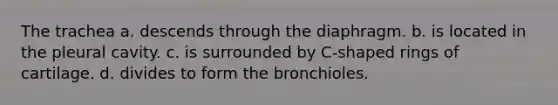 The trachea a. descends through the diaphragm. b. is located in the pleural cavity. c. is surrounded by C-shaped rings of cartilage. d. divides to form the bronchioles.