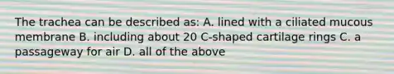 The trachea can be described as: A. lined with a ciliated mucous membrane B. including about 20 C-shaped cartilage rings C. a passageway for air D. all of the above