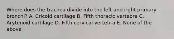 Where does the trachea divide into the left and right primary bronchi? A. Cricoid cartilage B. Fifth thoracic vertebra C. Arytenoid cartilage D. Fifth cervical vertebra E. None of the above