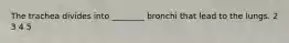 The trachea divides into ________ bronchi that lead to the lungs. 2 3 4 5