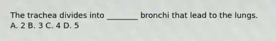 The trachea divides into ________ bronchi that lead to the lungs. A. 2 B. 3 C. 4 D. 5