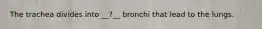 The trachea divides into __?__ bronchi that lead to the lungs.