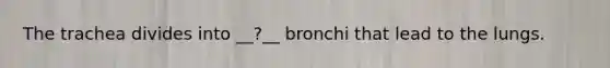 The trachea divides into __?__ bronchi that lead to the lungs.