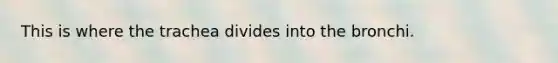This is where the trachea divides into the bronchi.