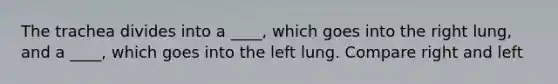 The trachea divides into a ____, which goes into the right lung, and a ____, which goes into the left lung. Compare right and left