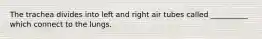 The trachea divides into left and right air tubes called __________ which connect to the lungs.