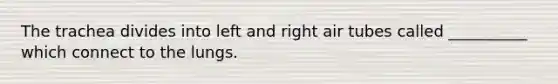 The trachea divides into left and right air tubes called __________ which connect to the lungs.