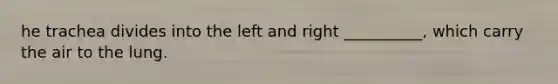 he trachea divides into the left and right __________, which carry the air to the lung.
