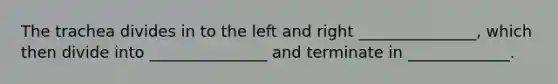 The trachea divides in to the left and right _______________, which then divide into _______________ and terminate in _____________.