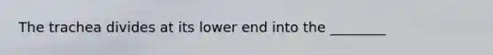 The trachea divides at its lower end into the ________