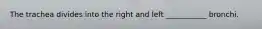 The trachea divides into the right and left ___________ bronchi.