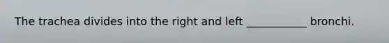 The trachea divides into the right and left ___________ bronchi.