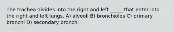 The trachea divides into the right and left _____ that enter into the right and left lungs. A) alveoli B) bronchioles C) primary bronchi D) secondary bronchi