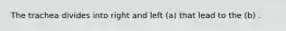 The trachea divides into right and left (a) that lead to the (b) .