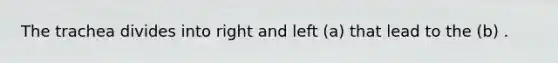 The trachea divides into right and left (a) that lead to the (b) .