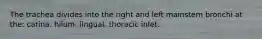 The trachea divides into the right and left mainstem bronchi at the: carina. hilum. lingual. thoracic inlet.