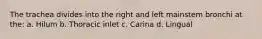 The trachea divides into the right and left mainstem bronchi at the: a. Hilum b. Thoracic inlet c. Carina d. Lingual