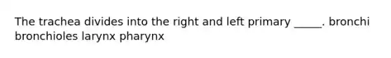 The trachea divides into the right and left primary _____. bronchi bronchioles larynx pharynx