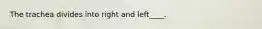 The trachea divides into right and left____.