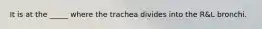 It is at the _____ where the trachea divides into the R&L bronchi.