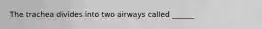 The trachea divides into two airways called ______