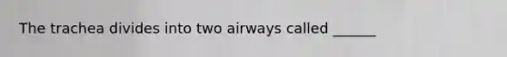 The trachea divides into two airways called ______