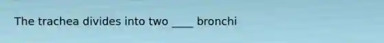 The trachea divides into two ____ bronchi