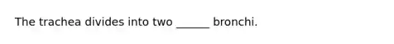 The trachea divides into two ______ bronchi.