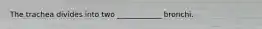 The trachea divides into two ____________ bronchi.