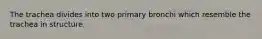 The trachea divides into two primary bronchi which resemble the trachea in structure.