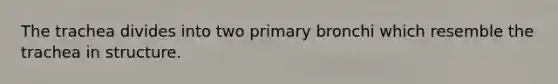 The trachea divides into two primary bronchi which resemble the trachea in structure.