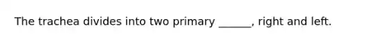 The trachea divides into two primary ______, right and left.