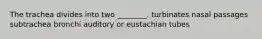 The trachea divides into two ________. turbinates nasal passages subtrachea bronchi auditory or eustachian tubes