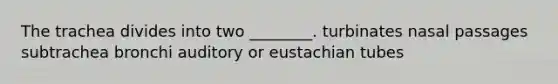 The trachea divides into two ________. turbinates nasal passages subtrachea bronchi auditory or eustachian tubes