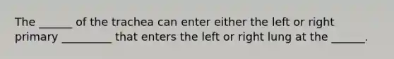 The ______ of the trachea can enter either the left or right primary _________ that enters the left or right lung at the ______.