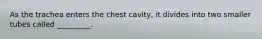 As the trachea enters the chest cavity, it divides into two smaller tubes called _________.