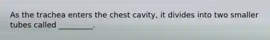 As the trachea enters the chest cavity, it divides into two smaller tubes called _________.