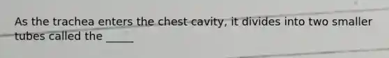 As the trachea enters the chest cavity, it divides into two smaller tubes called the _____