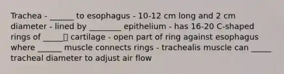 Trachea - ______ to esophagus - 10-12 cm long and 2 cm diameter - lined by ________ epithelium - has 16-20 C-shaped rings of _____ cartilage - open part of ring against esophagus where ______ muscle connects rings - trachealis muscle can _____ tracheal diameter to adjust air flow